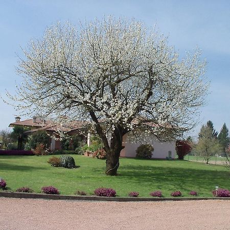 Bed&Breakfast Il Ciliegio Fiorito 索马伦巴多 外观 照片