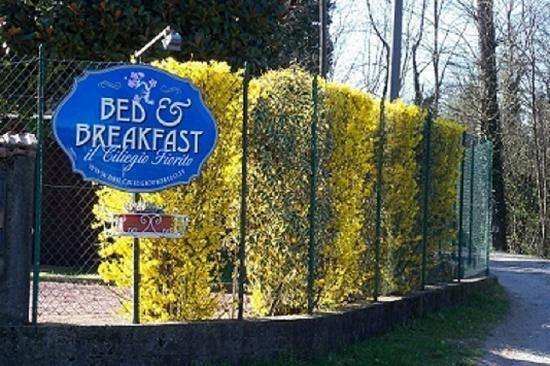 Bed&Breakfast Il Ciliegio Fiorito 索马伦巴多 外观 照片