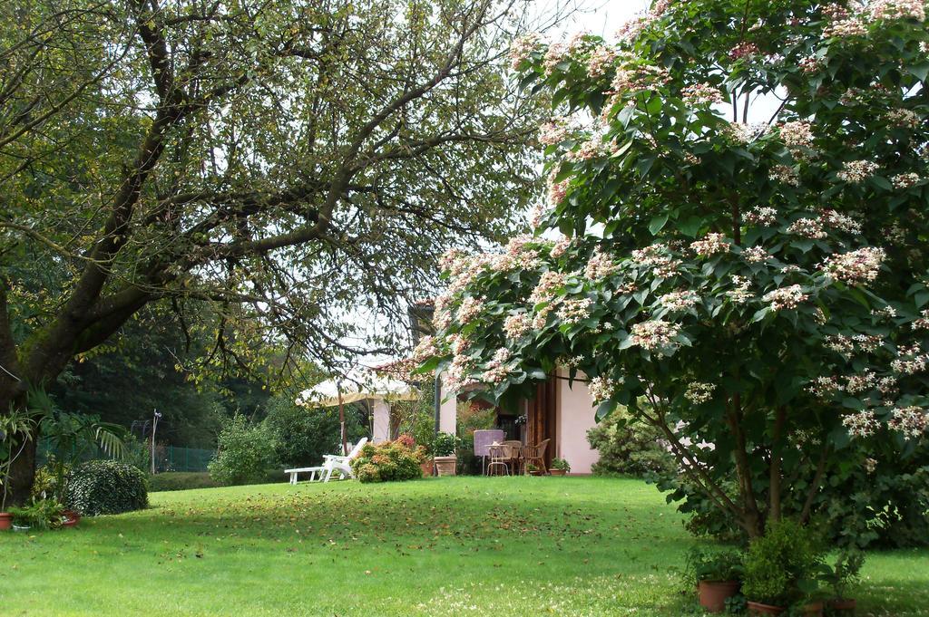 Bed&Breakfast Il Ciliegio Fiorito 索马伦巴多 外观 照片