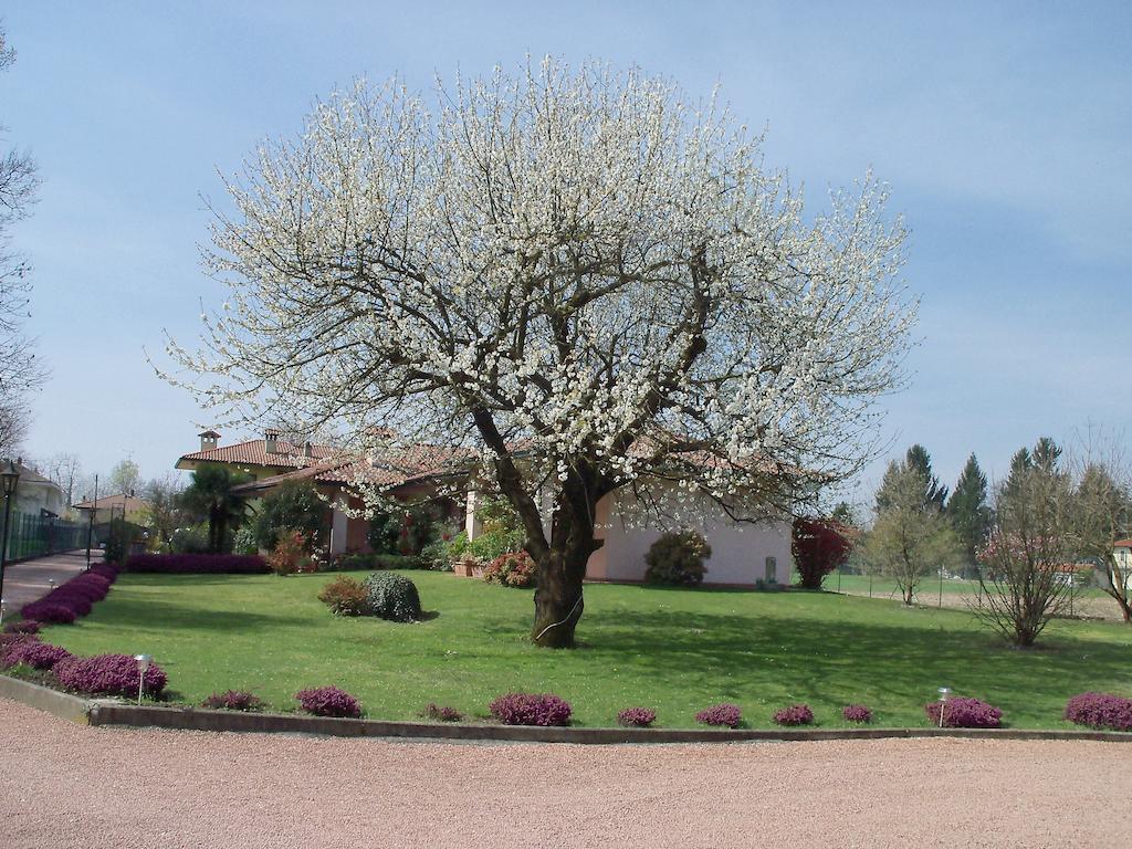Bed&Breakfast Il Ciliegio Fiorito 索马伦巴多 外观 照片