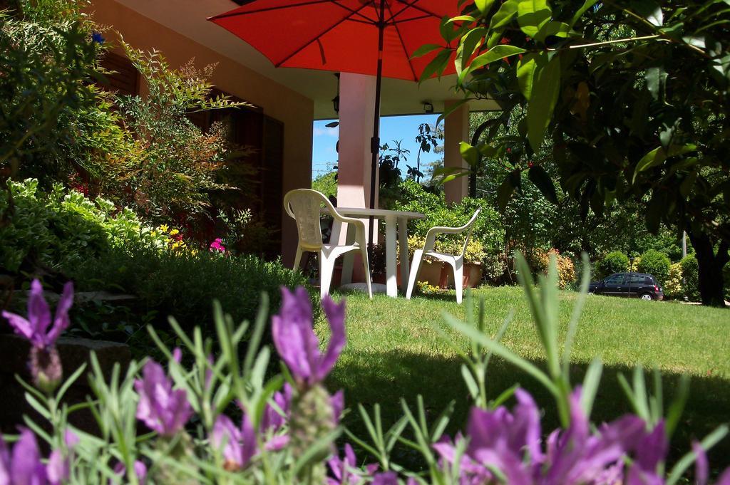 Bed&Breakfast Il Ciliegio Fiorito 索马伦巴多 外观 照片