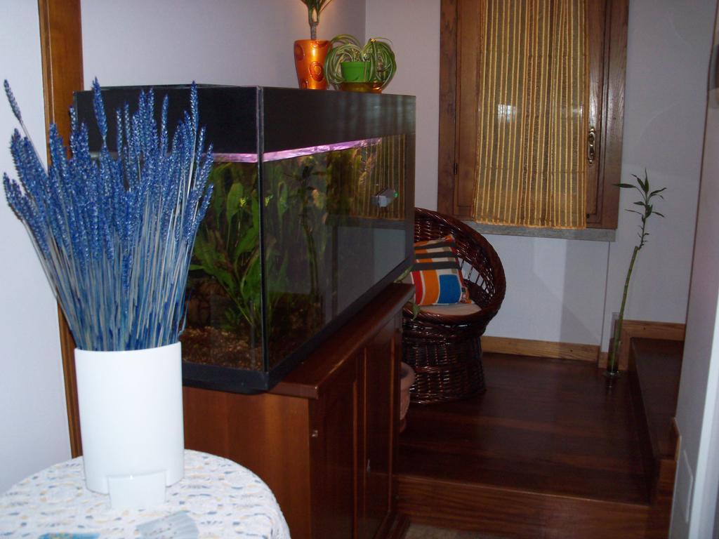 Bed&Breakfast Il Ciliegio Fiorito 索马伦巴多 外观 照片