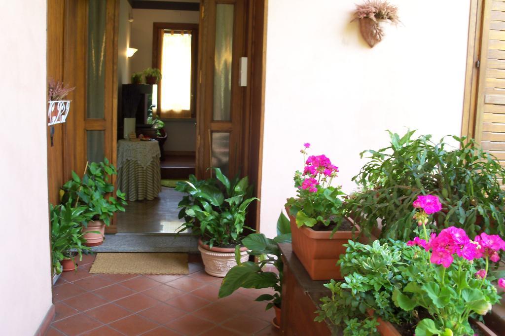 Bed&Breakfast Il Ciliegio Fiorito 索马伦巴多 外观 照片