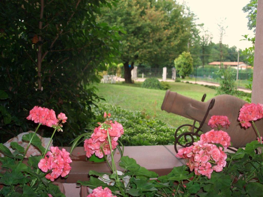Bed&Breakfast Il Ciliegio Fiorito 索马伦巴多 外观 照片